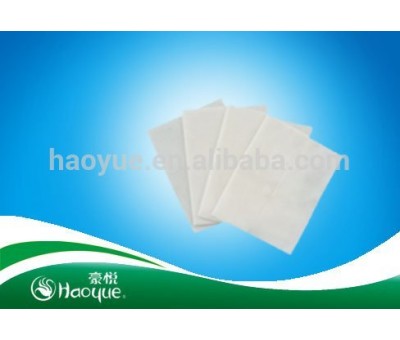 Qualified OEM factory for Pet Wet wipes and pet disposable under pads